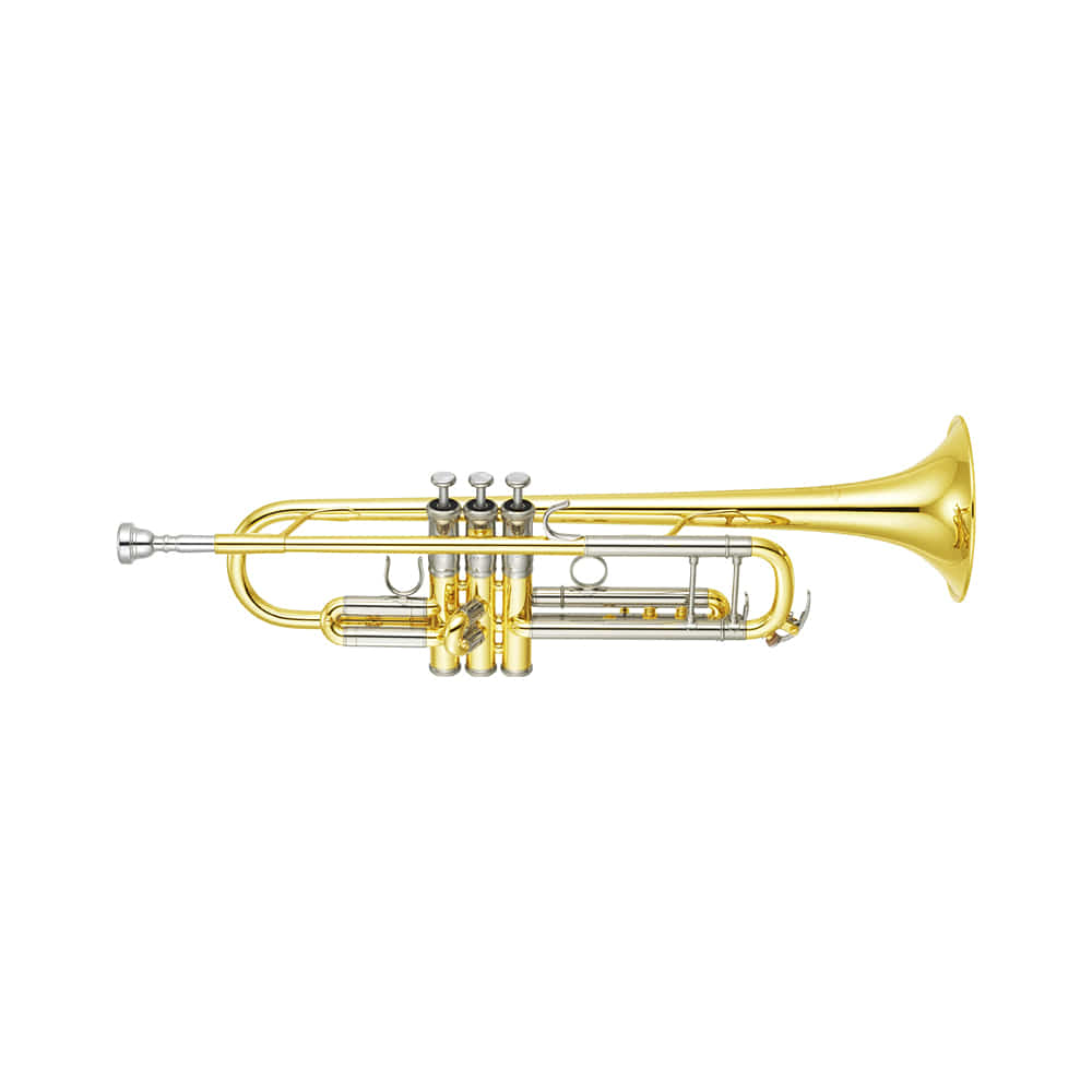 야마하: 커스텀 Xeno Bb 트럼펫 중대형 보어(bore) YTR-8335